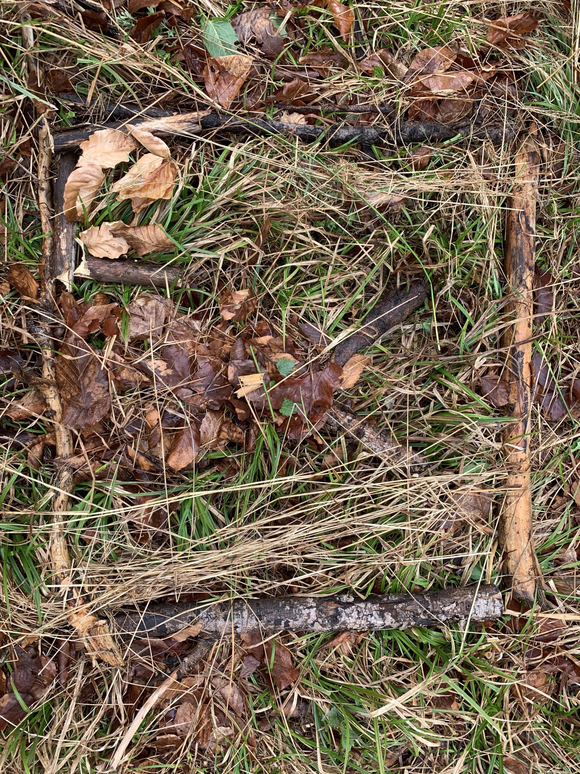 Wald_1