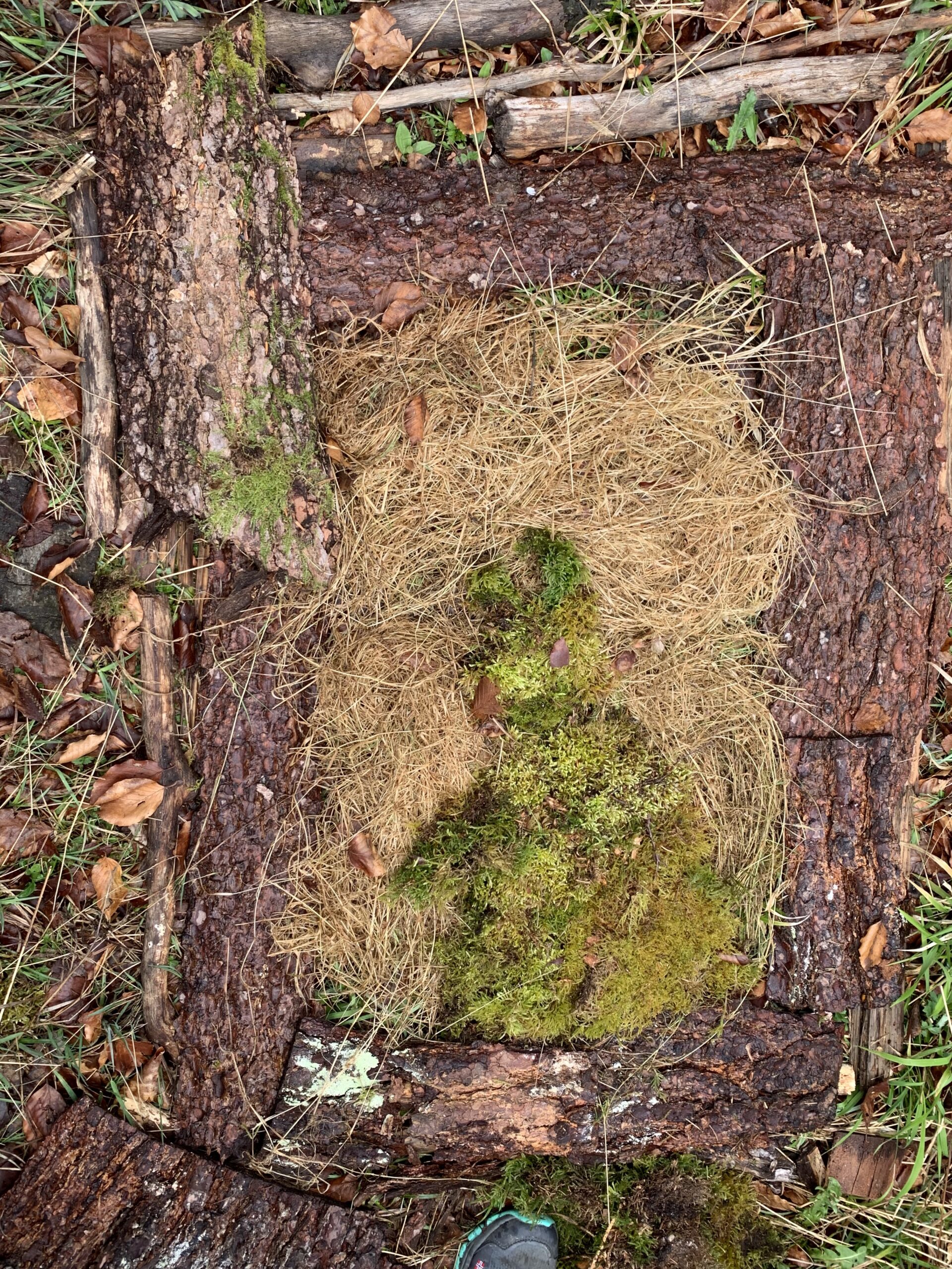 Wald_2
